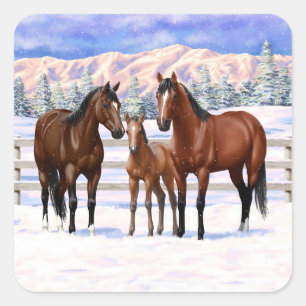 Pegatina Cuadrada Barrio Marrón de caballos en Nieve