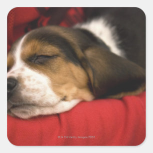 Pegatina Cuadrada Bashaw, Alberta (Canadá)