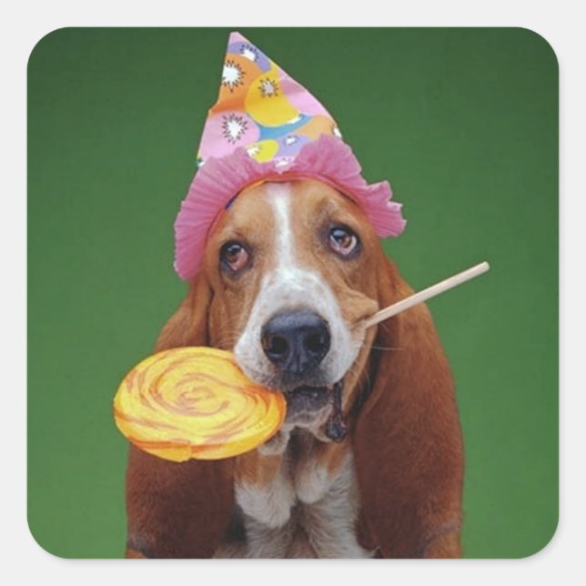 Pegatina Cuadrada Basset Hound Birthday Lollipop (Anverso)