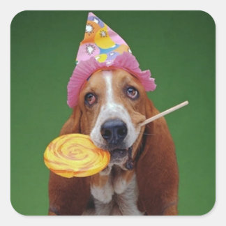 Pegatina Cuadrada Basset Hound Birthday Lollipop