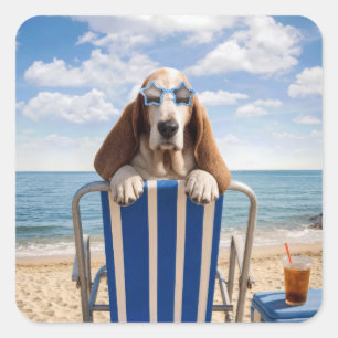 Pegatina Cuadrada Basset Hound en Silla de Playa