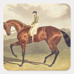 Pegatina Cuadrada Bay Middleton, ganadora del Derby en 1836, después