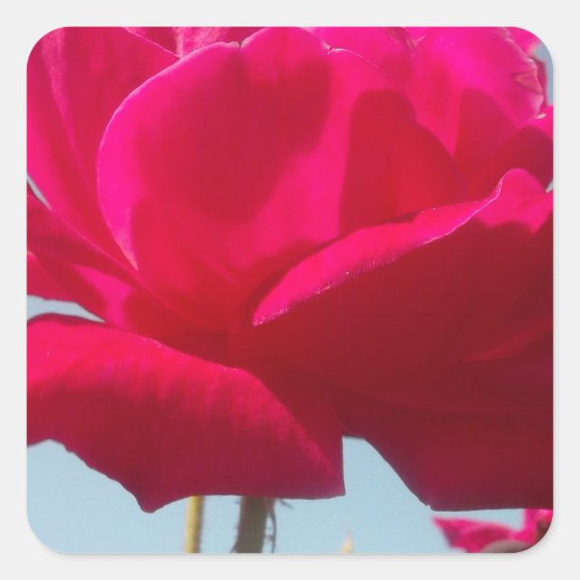 Pegatina Cuadrada Be Mine Happy Valentine Under the Blue Sky (Anverso)