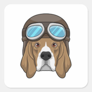 Pegatina Cuadrada Beagle como piloto con gorra piloto