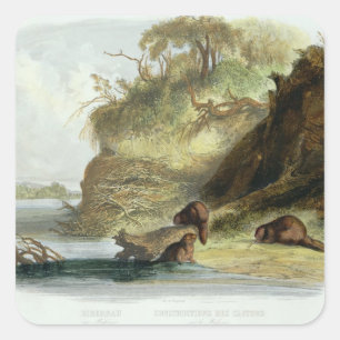 Pegatina Cuadrada Beaver Hut en el Missouri, placa 17 del volumen 1