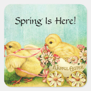 Pegatina Cuadrada Bebé dulce chicles Vintage de Pascua Añadir texto