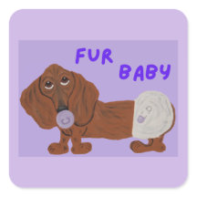 Bebé Fur Dachshund Cachorro