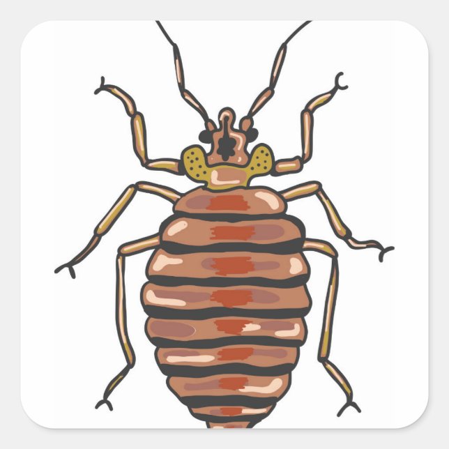Pegatina Cuadrada Bed Bug Sketch (Anverso)