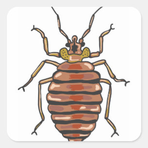 Pegatina Cuadrada Bed Bug Sketch