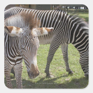 Pegatina Cuadrada Bedfordshire, Inglaterra