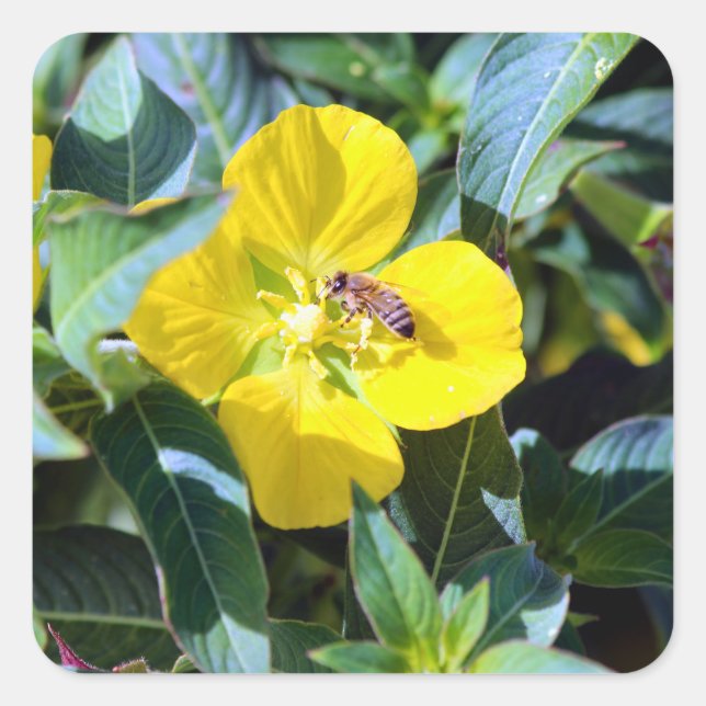 Pegatina Cuadrada Bee-ing Productive (Anverso)