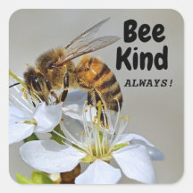 ¡Bee Kind Siempre!