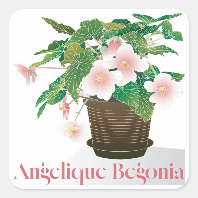 Pegatina Cuadrada Begonia Stickers (Anverso)