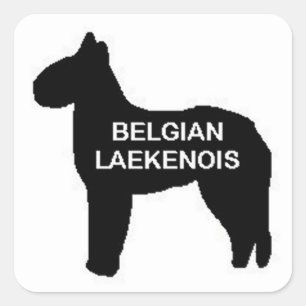 Pegatina Cuadrada bélgica laekenois name silo