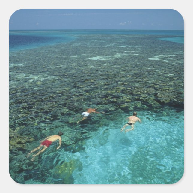 Pegatina Cuadrada Belice, Arrecife de la Barrera, Lighthouse Reef, A (Anverso)