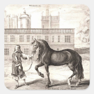Pegatina Cuadrada Bella Artes andaluz de grabado de caballos PRE