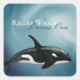 Pegatina Cuadrada Bella ballena crujiente de acuarela, Orcinus Orca