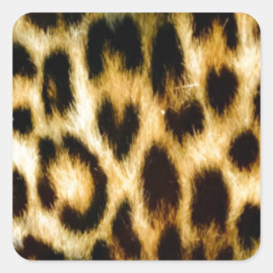 Pegatina Cuadrada Bella piel de leopardo