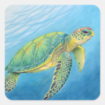 Belleza de la tortuga