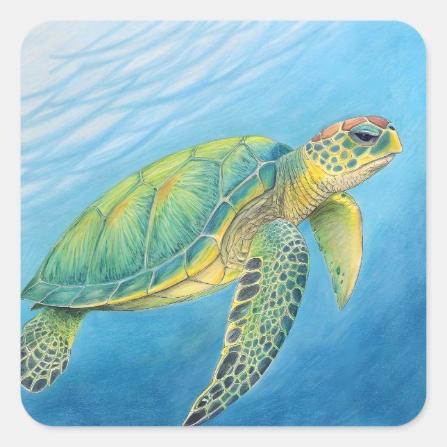 Pegatina Cuadrada Belleza de la tortuga (Anverso)