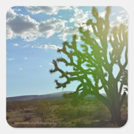 Pegatina Cuadrada Belleza del desierto