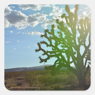 Pegatina Cuadrada Belleza del desierto