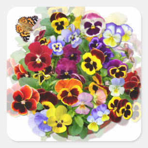 Pegatina Cuadrada Belleza Pansy con mariposa