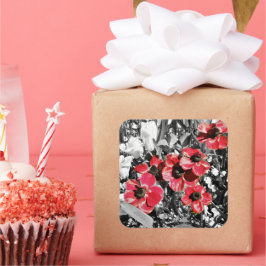 Pegatina Cuadrada Belleza selectiva - Flores de anémona