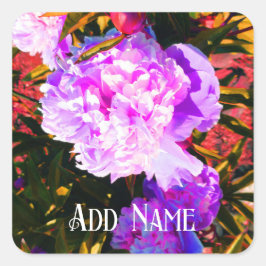 Pegatina Cuadrada Bellísimas Peonías Rosadas