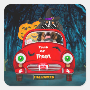 Pegatina Cuadrada Bernese Mountain Dog Driing Car Sasuy Halloween