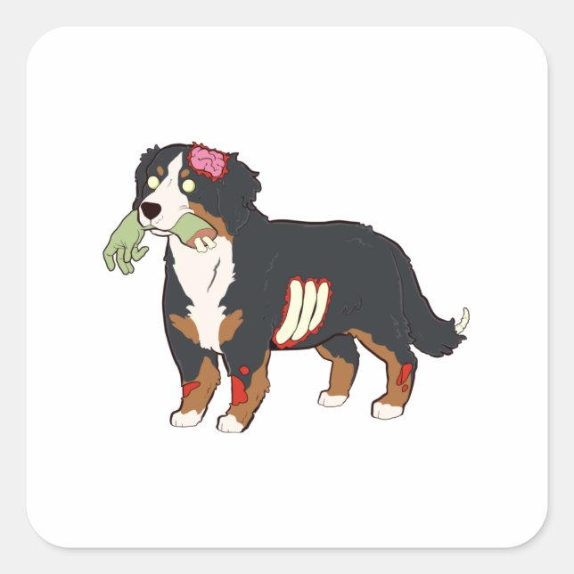Pegatina Cuadrada Bernese Mountain Dog Zombie Halloween (Anverso)