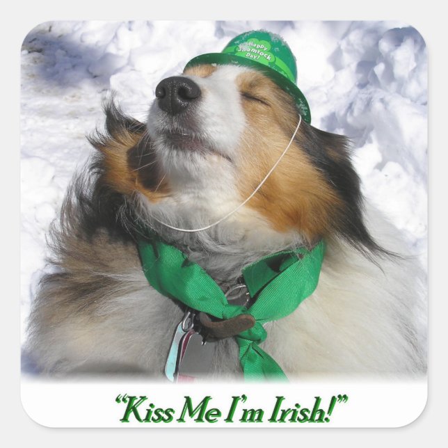 Pegatina Cuadrada ¡Bésame, soy irlandés! (Anverso)