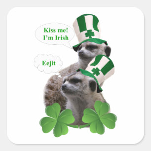 Pegatina Cuadrada Bésame. Soy un diseño irlandés de meerkat.