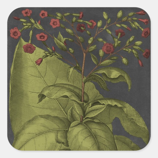 Pegatina Cuadrada Besler Dramatique I (Anverso)