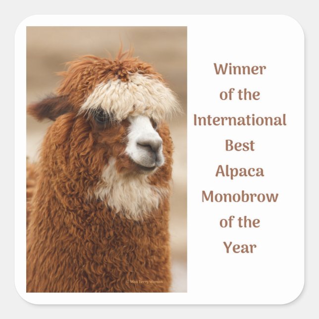 Pegatina Cuadrada Best Alpaca Monobrow (Anverso)