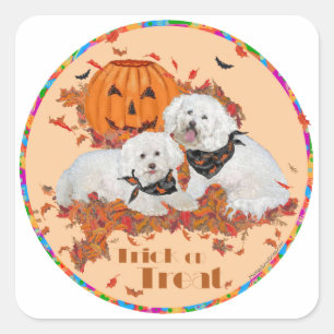 Pegatina Cuadrada Bichon Frise Halloween