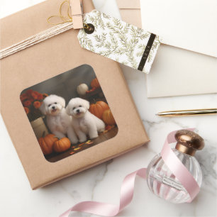 Pegatina Cuadrada Bichon Frise Puppy Calabaza deslumbrante de otoño