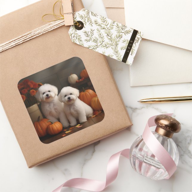 Pegatina Cuadrada Bichon Frise Puppy Calabaza deslumbrante de otoño (Regalar)
