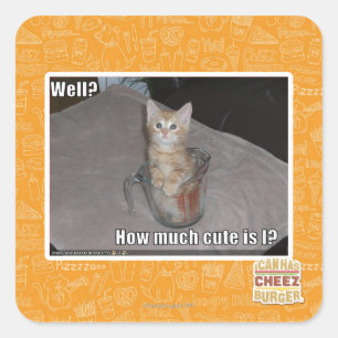 Pegatina Cuadrada ¿Bien?