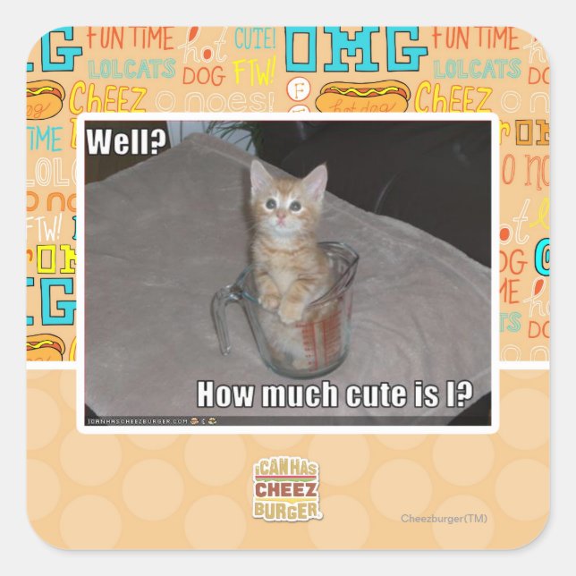 Pegatina Cuadrada ¿Bien? (Anverso)