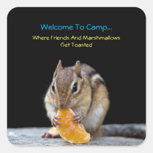 Pegatina Cuadrada Bienvenidos Al Campamento