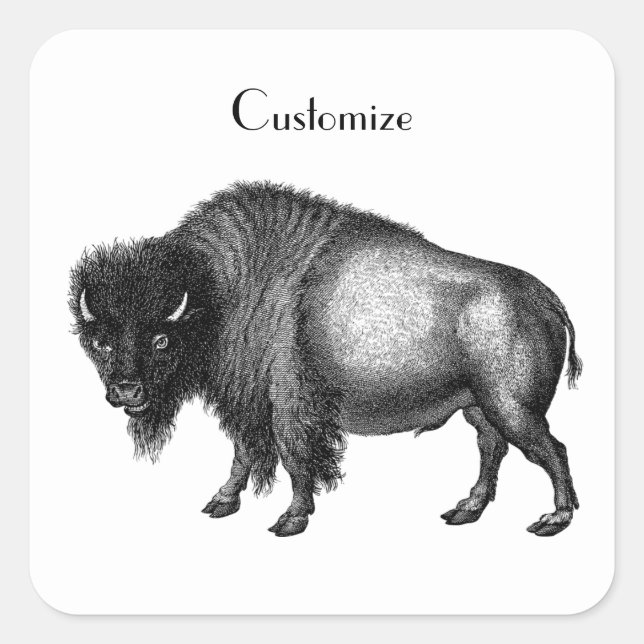 Pegatina Cuadrada Big Bison Buffalo Thunder_Cove (Anverso)