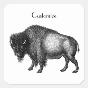 Pegatina Cuadrada Big Bison Buffalo Thunder_Cove