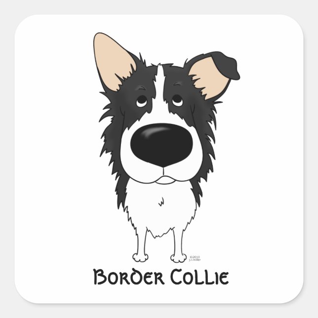 Pegatina Cuadrada Big Nose Border Collie (Anverso)