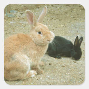 Pegatina Cuadrada Big Red Bunny