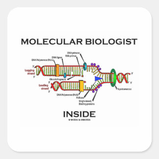 Pegatina Cuadrada Biólogo molecular interno (replicación del ADN)