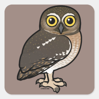 Pegatina Cuadrada Birdorable Elf Owl