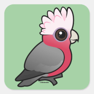 Pegatina Cuadrada Birdorable Galah