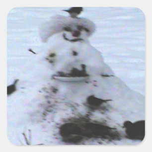 Pegatina Cuadrada Birdy