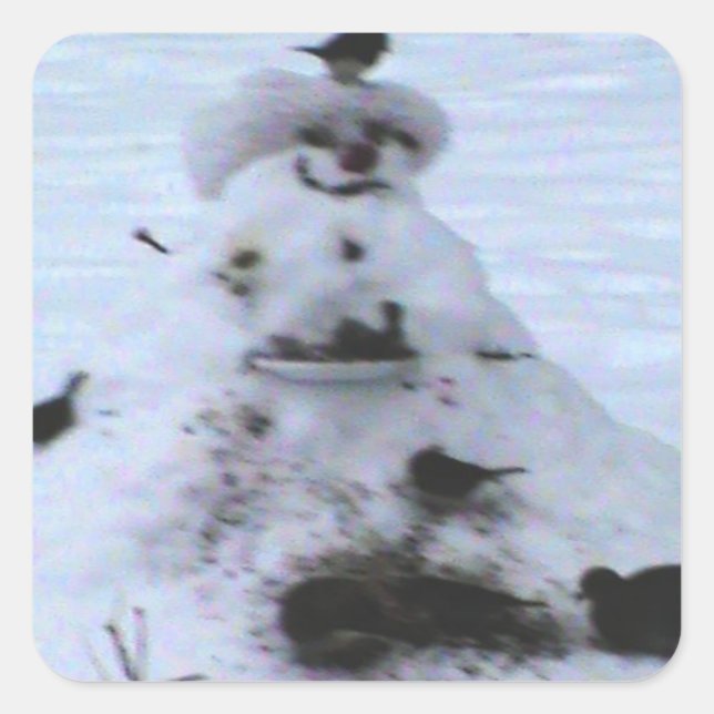 Pegatina Cuadrada Birdy (Anverso)